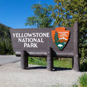 Protect Yellowstone Women's Racerback Tank